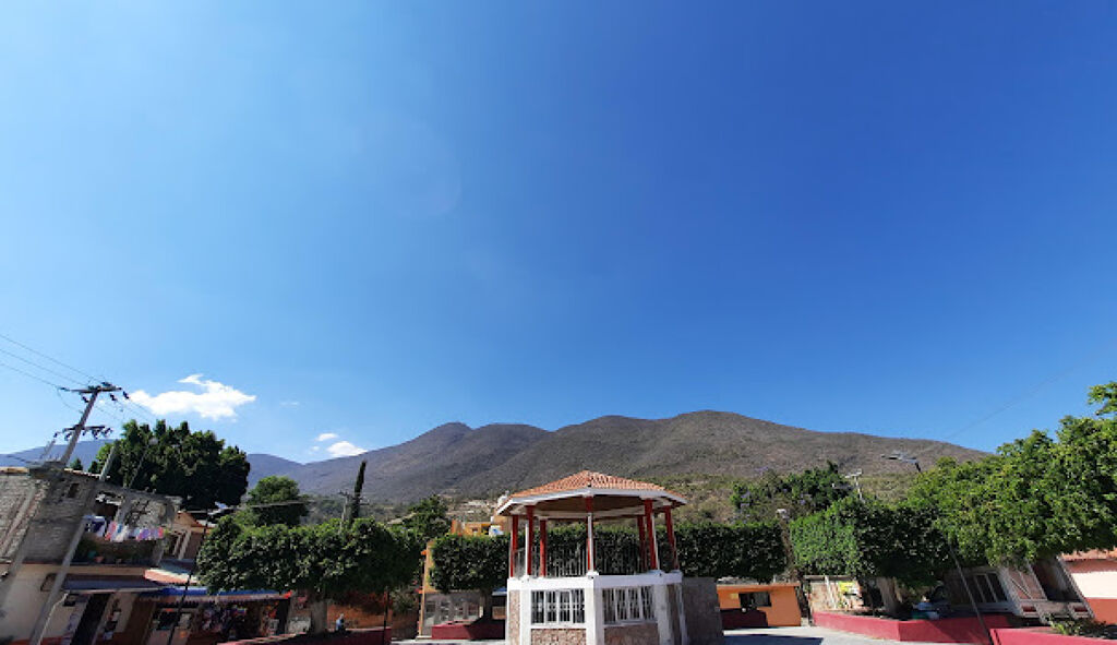 Visita Amojileca y disfruta su granja-1