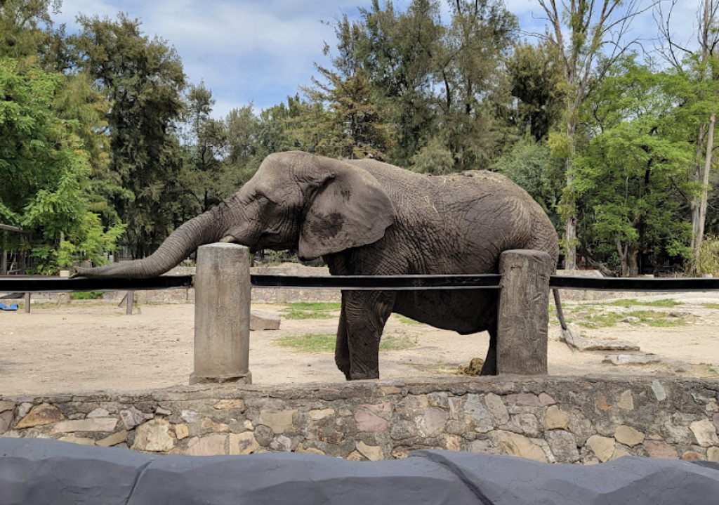 Parque Zoológico de León-0
