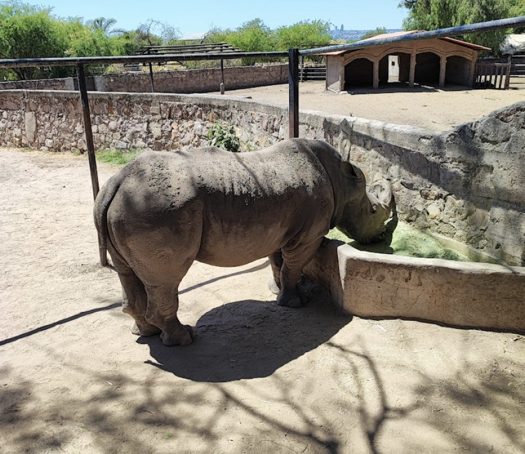 Parque Zoológico de León-1
