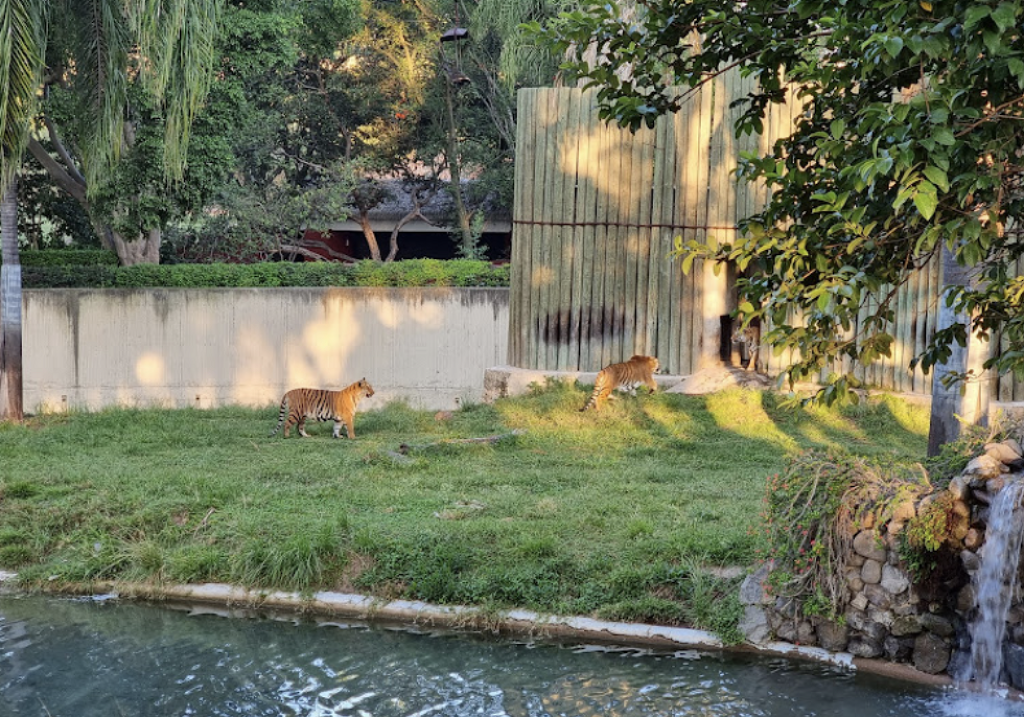 Zoológico de Guadalajara-1