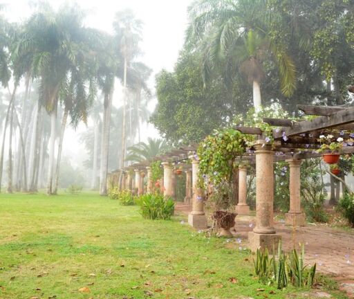 Visita el Jardín Botánico Benjamín Francis Johnston-0
