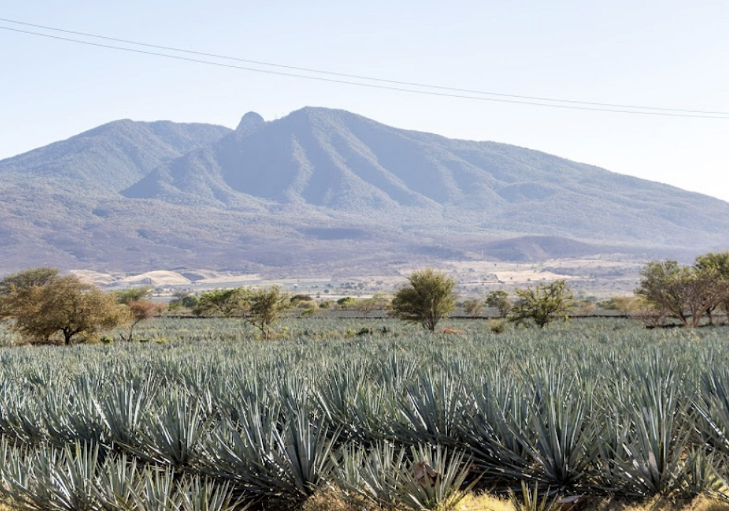 Volcán de Tequila-2