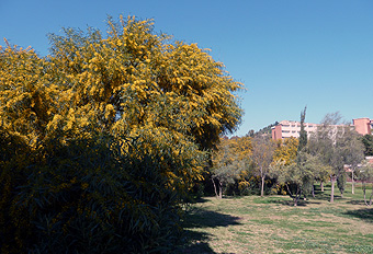 Yacimiento arqueológico del Monte de la Tortuga-1