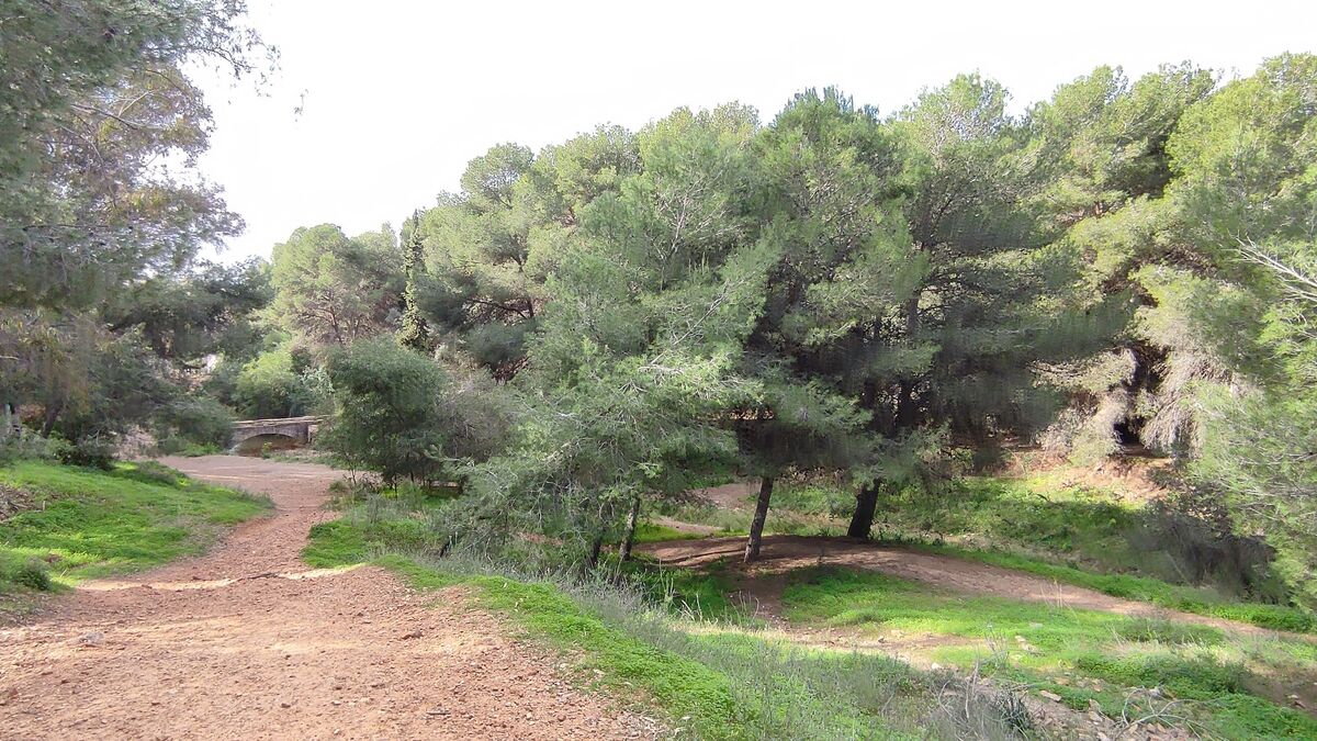 Yacimiento arqueológico del Monte de la Tortuga-0