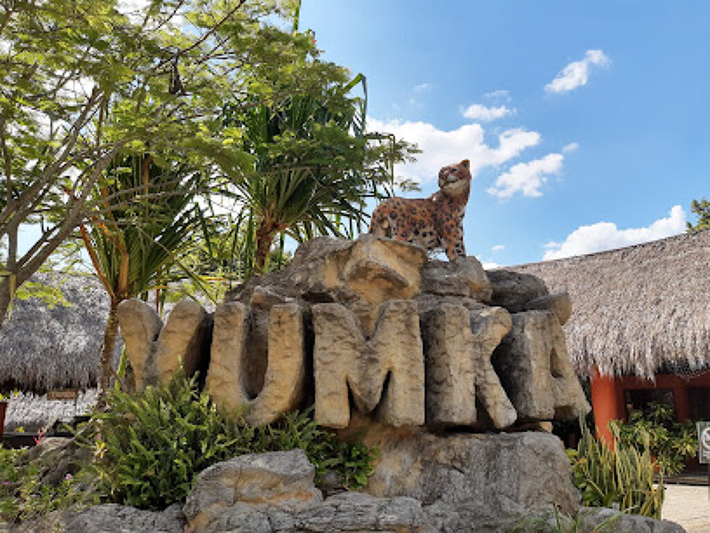 Yumka'-0