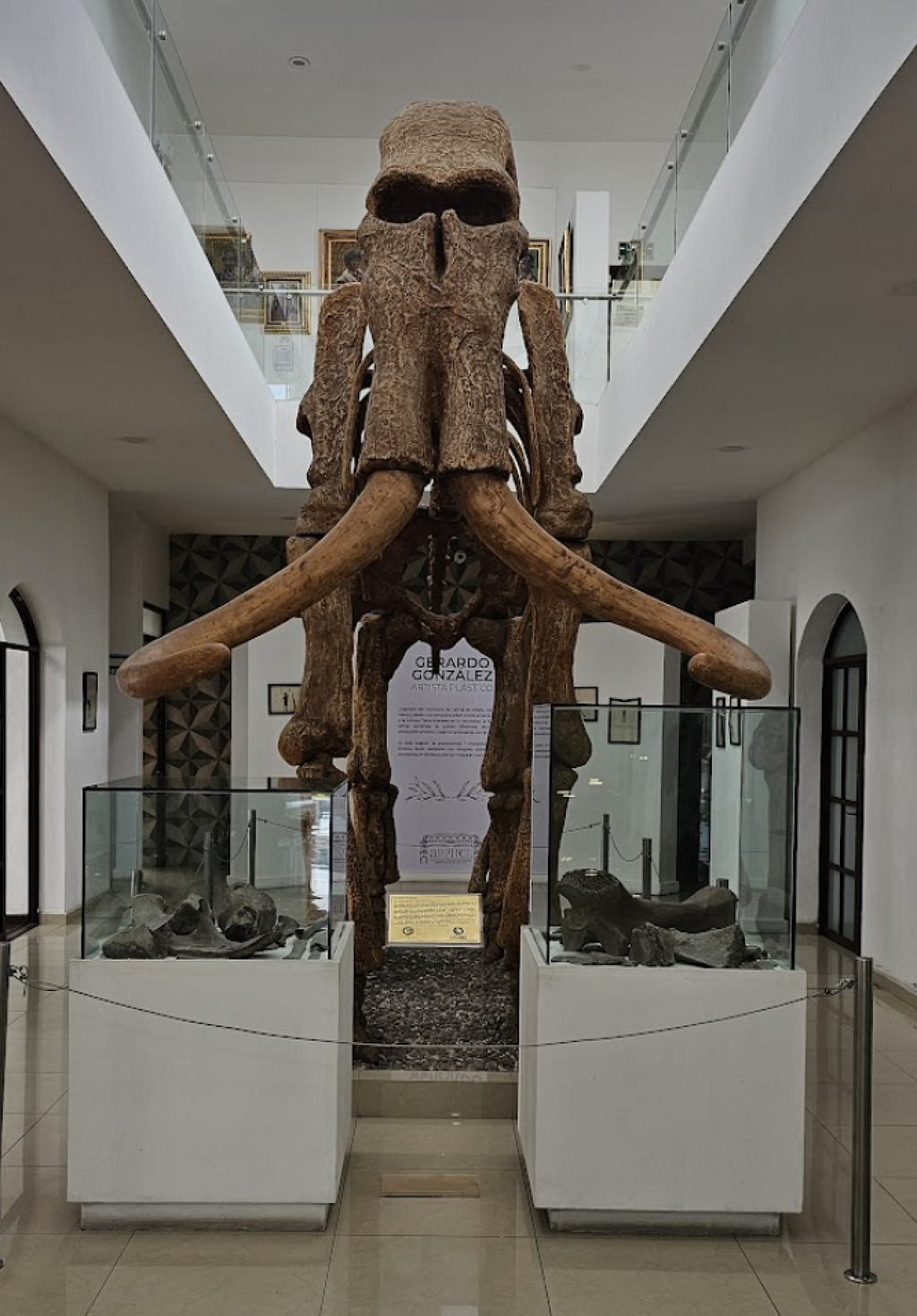 Zanbatha, Museo del Valle de la Luna-0