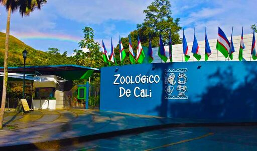 Zoológico de Cali-0