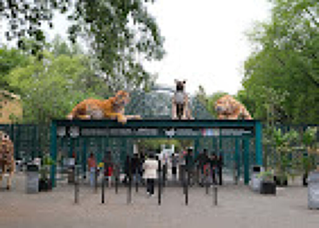 Zoológico de Chapultepec "Alfonso Herrera"-2