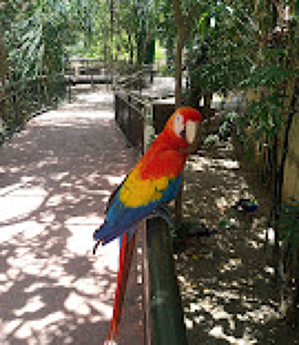 Zoológico Tamatán-1